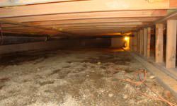 A nasty, mouldy crawl space in Guelph, Ontario
