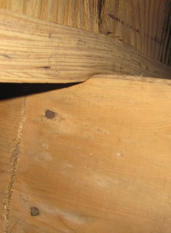 severe damage to a crawl space structure in a Waterloo home
