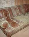 furniture in a Georgetown basement destroyed by mold and dust mites