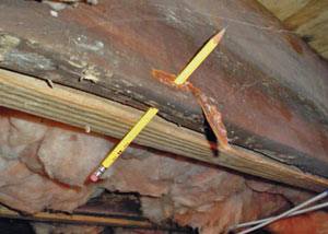 Destroyed crawl space structural wood in Port Colborne