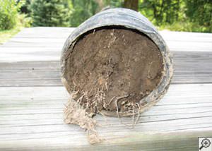 clogged french drain found in Delhi, Elora, Rockwood, Woolrich, Mapleton, Ontario