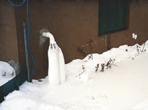 IceGuard® Installed Kitchener
